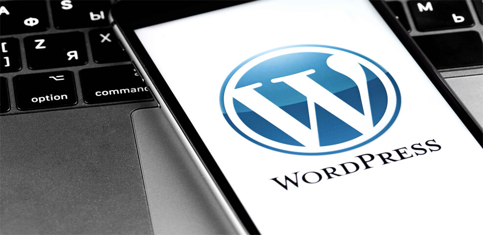 WordPress CMS